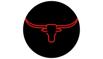 longhorn delivery icon